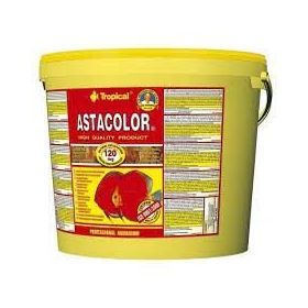 Tropical Astacolor 100 gr Açık Balık Yemi