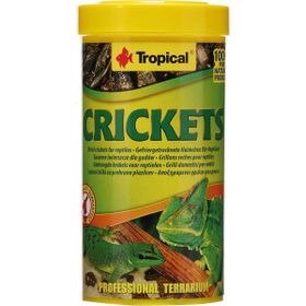Tropical Astacolor 250 gr Açık Balık Yemi