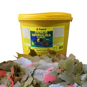 Tropical Cichlid Spirulina Flakes 100 gr Balık Yemi