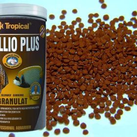 Tropical D-Allio Plus Sarımsaklı Granulat 100 gr Balık Yemi