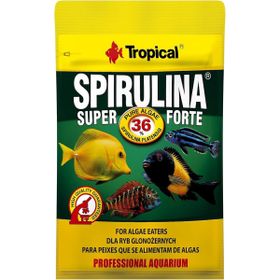 Tropical Forte 12 gr Super Spirulina Balık Yemi