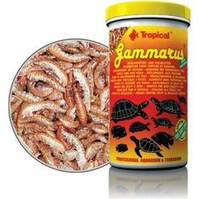 Tropical Gammarus 100 ml Balık ve Kaplumbağa Yemi
