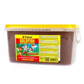 Tropical Goldfish Colour Pellet Kovadan Bölme 250 gr Balık Yemi