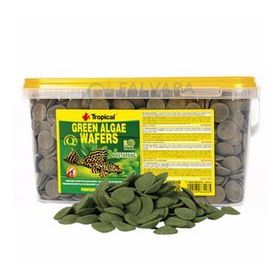 Tropical Green Algae Wafers 250 gr Kovadan Bölme Açık Balık Yemi