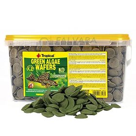Tropical Green Algae Wafers 250 gr Kovadan Bölme Açık Balık Yemi