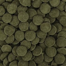 Tropical Hi-Algae Discs XXL 100 gr Balık Yemi