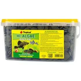 Tropical Hi-Algae Discs XXL 100 gr Balık Yemi