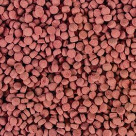Tropical Krill Gran XXL 100 gr Balık Yemi