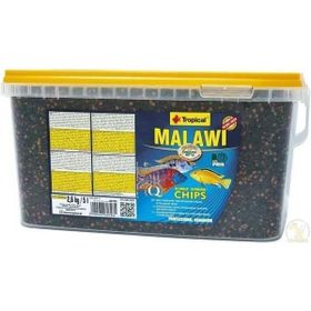 Tropical Malawi Chips 100 gr Balık Yemi