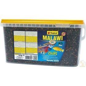 Tropical Malawi Chips 100 gr Balık Yemi