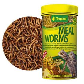 Tropical Meal Worms 250 ml 30 Un Kurdu Sürüngen Yemi