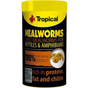Tropical Meal Worms 250 ml 30 Un Kurdu Sürüngen Yemi