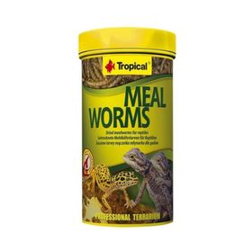 Tropical Meal Worms 250 ml 30 Un Kurdu Sürüngen Yemi
