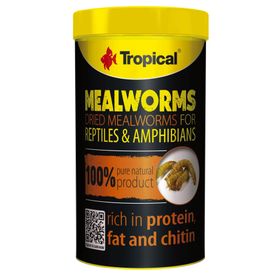 Tropical Meal Worms 250 ml 30 Un Kurdu Sürüngen Yemi