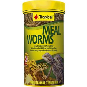 Tropical Meal Worms 250 ml 30 Un Kurdu Sürüngen Yemi