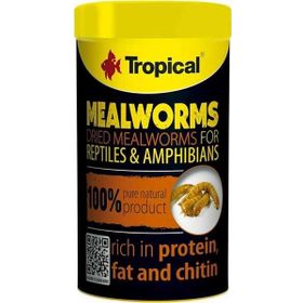 Tropical Meal Worms 250 ml 30 Un Kurdu Sürüngen Yemi