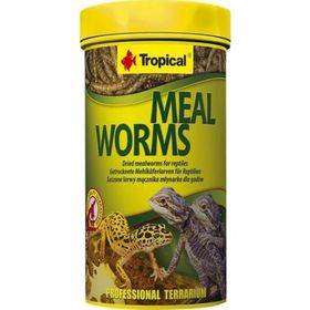 Tropical Meal Worms 250 ml 30 Un Kurdu Sürüngen Yemi