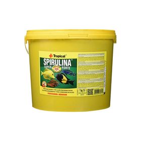 Tropical Spirulina Flakes 100 gr Balık Yemi