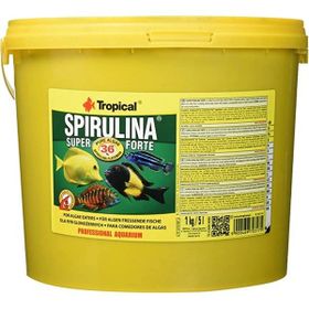 Tropical Spirulina Flakes 100 gr Balık Yemi
