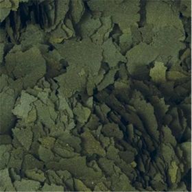 Tropical Spirulina Flakes 100 gr Balık Yemi
