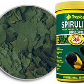 Tropical Super 250 gr Kovadan Bölme Spirulina Forte Pul Yem