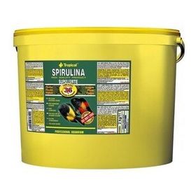 Tropical Super Forte Spirulina Pul 100 gr Balık Yemi