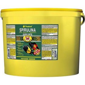Tropical Super Forte Spirulina Pul 100 gr Balık Yemi