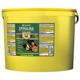 Tropical Super Forte Spirulina Pul 100 gr Balık Yemi