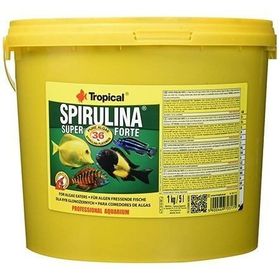 Tropical Super Spirulina Forte 11 lt 2 kg Kova Balık Yemi