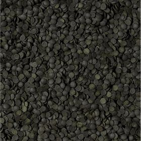 Tropical Super Spirulina Forte Chips 250 gr Balık Yemi