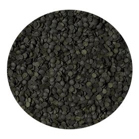 Tropical Super Spirulina Forte Chips 250 gr Balık Yemi