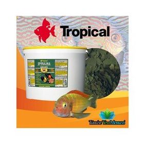 Tropical Super Spirulina Forte Tablet 50 ml 36 gr Balık Yemi