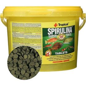 Tropical Tablet Super Spirulina Forte 50 Adet Balık Yemi