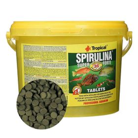 Tropical Tablet Super Spirulina Forte 50 Adet Balık Yemi