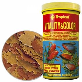 Tropical Vitality Color Pul 100 gr Balık Yemi