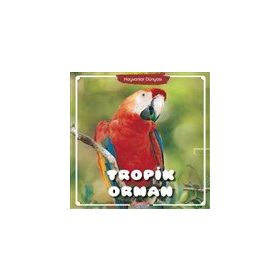 Tropik Orman Hayvanlar Dünyası - Yumurcak Yayınları