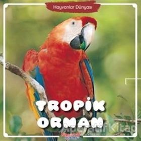 Tropik Orman Hayvanlar Dünyası - Yumurcak Yayınları