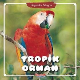 Tropik Orman Hayvanlar Dünyası - Yumurcak Yayınları