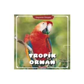 Tropik Orman Hayvanlar Dünyası - Yumurcak Yayınları