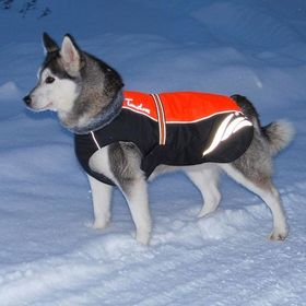 True Love Standart İçi Polarlı Turuncu Köpek Kıyafeti