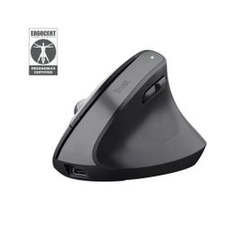 Trust Bayo+ Multidevice Siyah Ergonomik Kablosuz Mouse