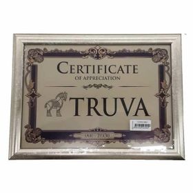 Truva TRV020G 21x29,7cm 2cm A4 Altın Yaldız Çerçeve