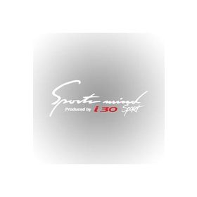 TSC Z124 Hyundai İ30 Sports Mind Araba Yapıştırma Oto Sticker