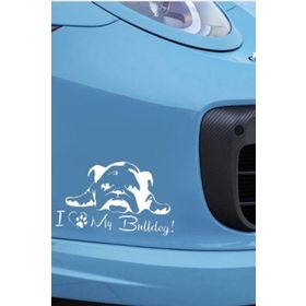 TSC Z1965 Fransız Bulldog Köpek Yapıştırma Sticker