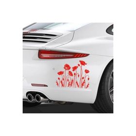 TSC Z1967 Çiçek Gül Lale Araba Sticker