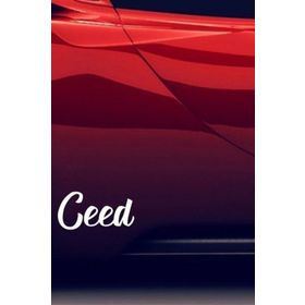 TSC Z352 Kia Ceed 2'li Araba Sticker