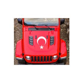 TSC Z638 Ay Yıldız Bayrak Yapıştırma Sticker