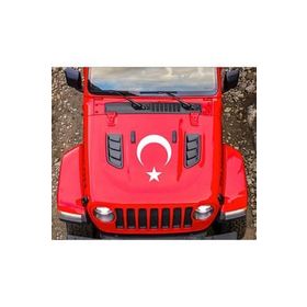 TSC Z638 Ay Yıldız Bayrak Yapıştırma Sticker