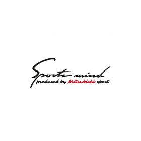 TSC Z822 Mitsubishi Mind Sport Far Üstü Kaput Araba Sticker