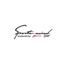 TSC Z850 Fiat Punto Mind Sport Far Üstü Kaput Oto Sticker